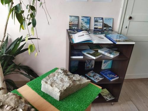 20 лет музею-усадьбе Вернадовка